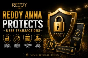 How Reddy Anna Protects User Transactions